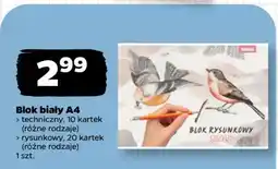 Netto Blok biały A4 oferta