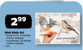 Netto Blok biały A4 oferta