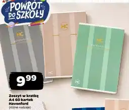 Netto Zeszyt w kratkę A4 60 kartek Havenford oferta