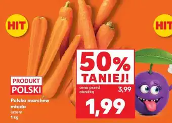 Kaufland Polska marchew młoda luzem 1 kg oferta