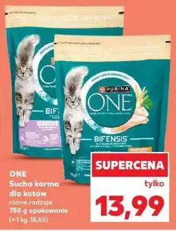 Kaufland ONE Sucha karma dla kotów oferta