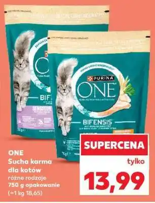 Kaufland ONE Sucha karma dla kotów oferta