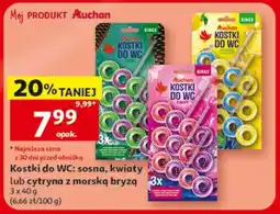 Auchan Auchan Kostki do WC oferta