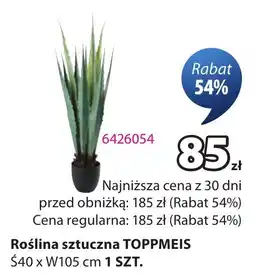 JYSK Roślina sztuczna TOPPMEIS oferta