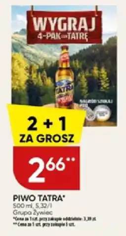 Chata Polska Piwo Tatra oferta