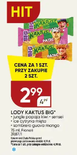 Chata Polska Lody Kaktus Big oferta