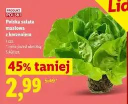 Lidl Polska sałata masłowa z korzeniem oferta