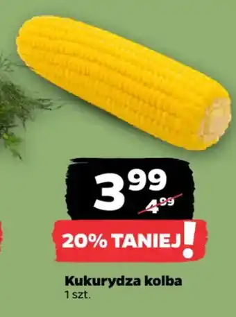 Netto Kukurydza kolba oferta