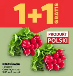 Netto Rzodkiewka oferta