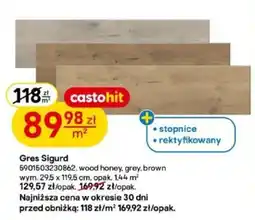 Castorama Gres Sigurd oferta