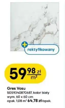 Castorama Gres Vosu oferta