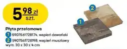 Castorama Płyta przełomowa oferta