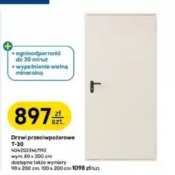 Castorama Drzwi przeciwpożarowe T-30 oferta