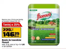 OBI Nawóz do trawników Florovit oferta
