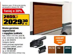 OBI Brama garażowa segmentowa z napędem IsoMatic oferta
