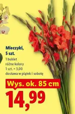 Lidl Mieczyki, 5 szt oferta