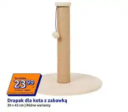 Action Drapak dla kota z zabawką oferta
