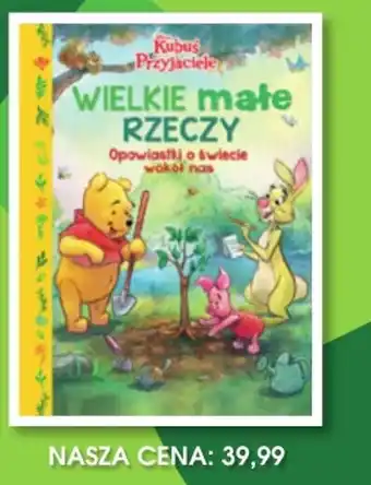 Kubus Przyjaciele WIELKIE MAŁE RZECZY