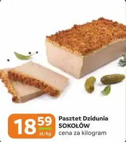 Gama Pasztet Dzidunia Sokołów oferta