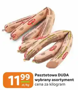 Gama Pasztetowa DUDA oferta