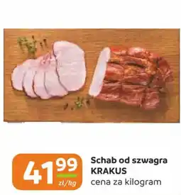 Gama Schab od szwagra KRAKUS oferta
