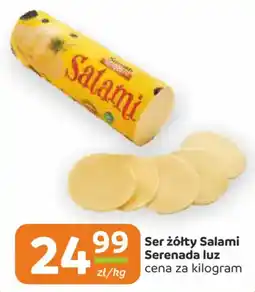Gama Ser żółty Salami Serenada luz oferta