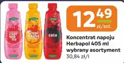 Gama Koncentrat napoju Herbapol oferta