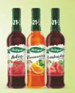 Gama Napój z owoców Mleko Łaciate oferta