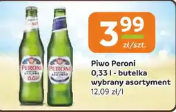 Gama Piwo Peroni oferta