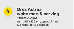 Castorama Gres Astrea white matt & carving oferta