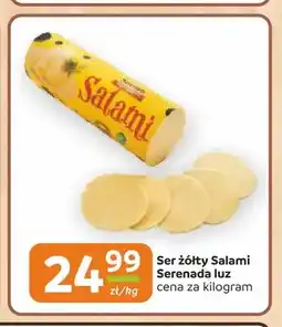 Gama Ser żółty Salami Serenada oferta