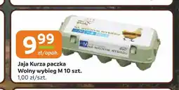 Gama Jaja kurze wolny wybieg M oferta