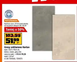 OBI Gres szkliwiony Harton cream oferta