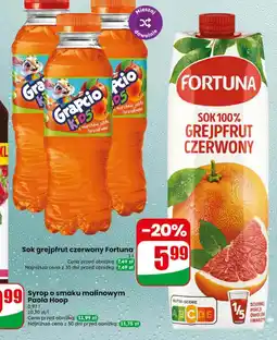 Dino Sok Fortuna oferta