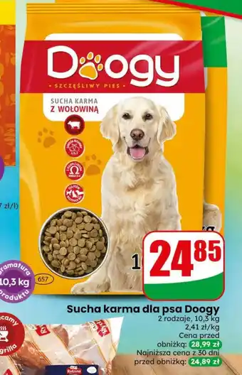 Dino Karma dla psa Doogy oferta