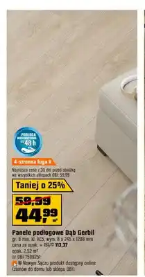OBI Panele podłogowe Dąb Gerbil 8 mm AC5 oferta