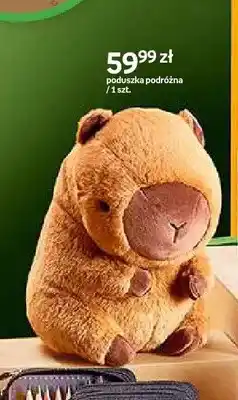 Empik Poduszka podróżna Cappy Classes oferta