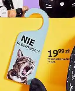 Empik Zawieszka na drzwi Purrrfect School oferta