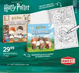 Empik Książka Harry Potter Cozy Magic Uroczy dzień czarodziejów oferta