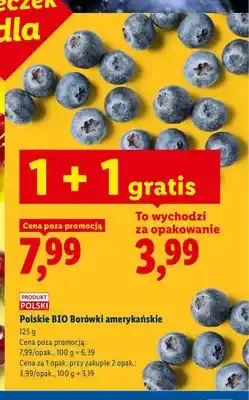 Lidl Borówki amerykańskie BIO polskie oferta