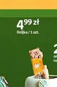 Empik Linijka Cappy Classes oferta