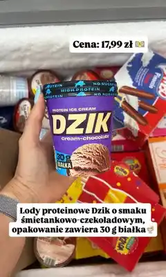 Dino Lody proteinowe Dzik cream-chocolate oferta