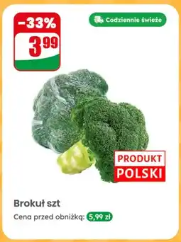 Dino Brokuł polski oferta