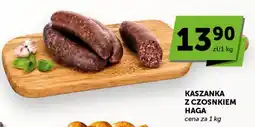 Groszek Kaszanka z Czosnkiem Haga oferta