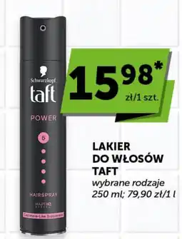 Groszek Lakier do włosów Taft oferta