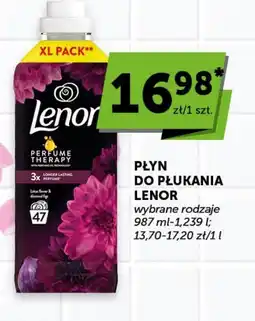Groszek PŁYN DO PŁUKANIA LENOR oferta