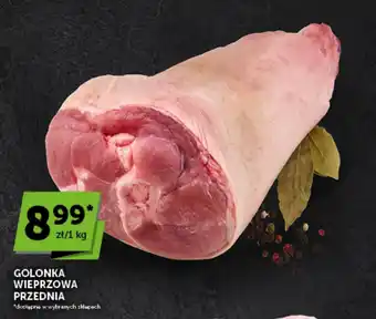 Groszek Golonka Wieprzowa Przednia oferta