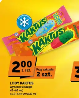 Groszek Lody Kaktus oferta