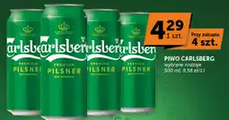 Groszek Piwo Carlsberg oferta