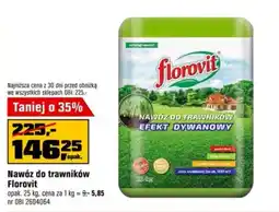 OBI Nawóz do trawników Florovit oferta